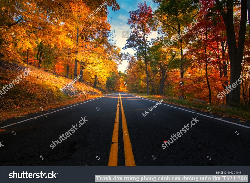 Tranh dán tường phong cảnh con đường mùa thu T321-280